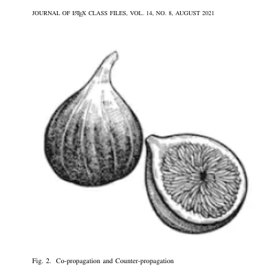 fig1