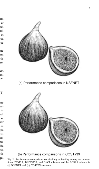 fig2